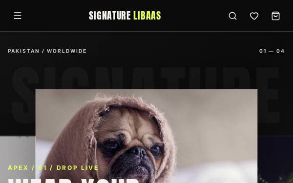 Screenshot of Signature Libaas Store