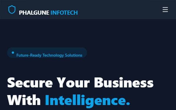 Screenshot of Phalgune Infotech - IT & Security Solutions